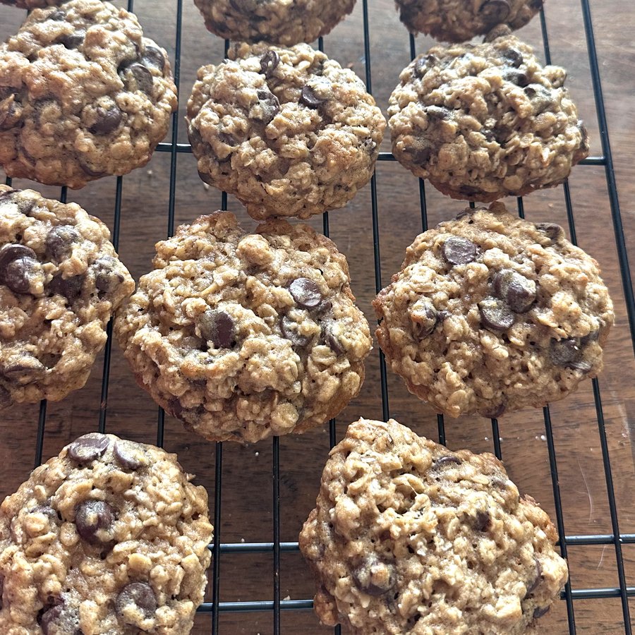 Oatmeal chocolate chip cookies on a cooling rack